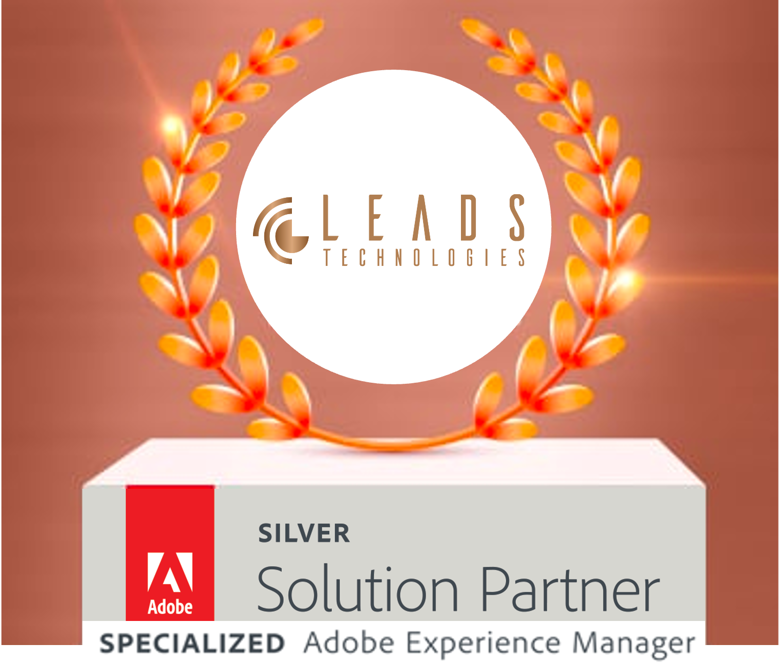 Specialized Adobe Experience Manager Leadstec 凝新科技