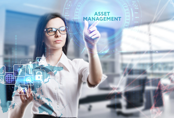 Why Your Business Needs a Digital Asset Management System