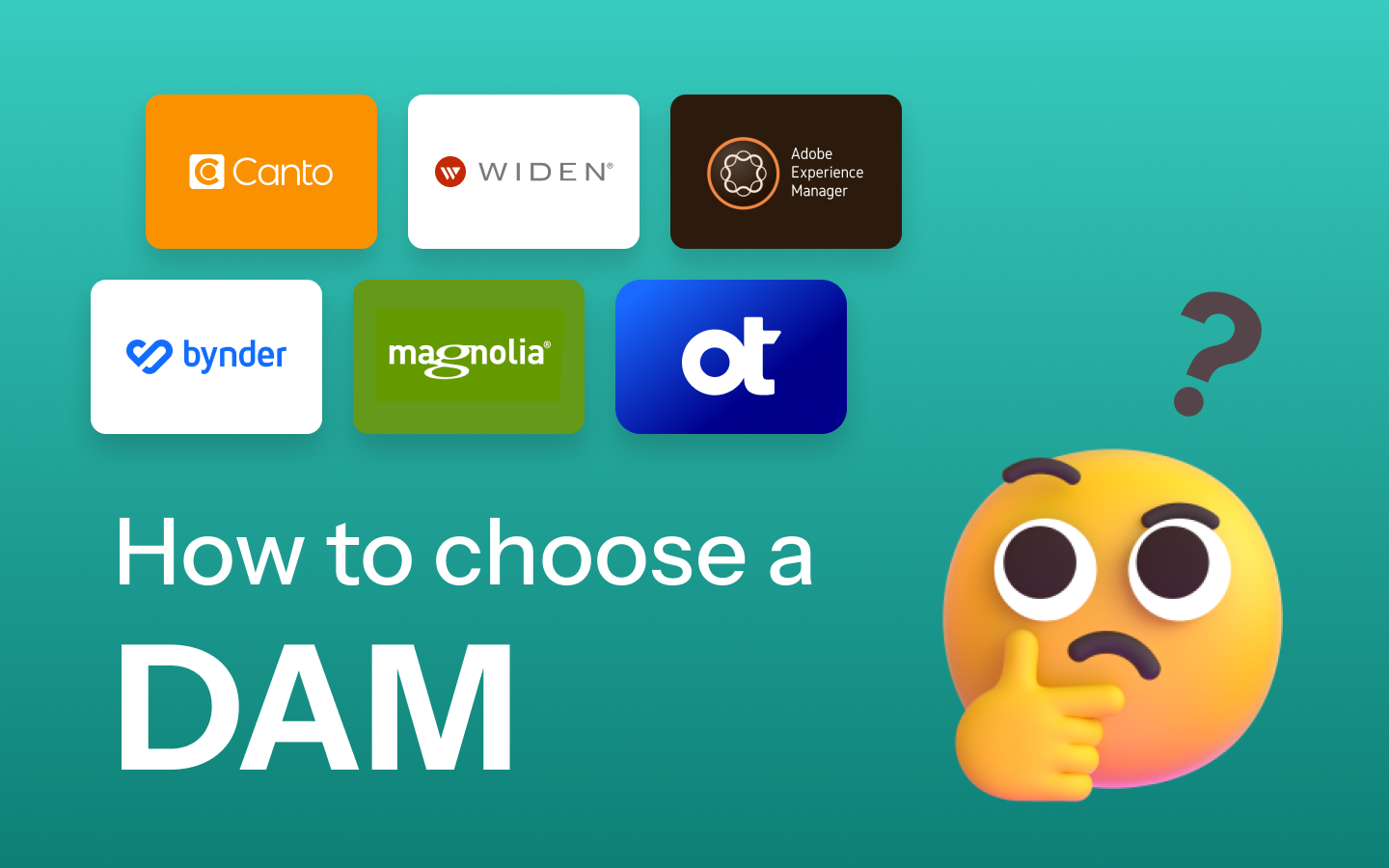 How do different companies choose the appropriate Digital Asset Management (DAM) system?